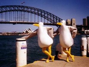 The Giant Seagulls